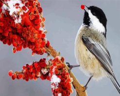 Chickadee Bird Eating paint by numbers