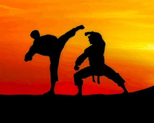 Taekwondo Silhouette paint by numbers