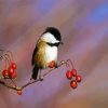 Aesthetic Chickadee paint by numbers