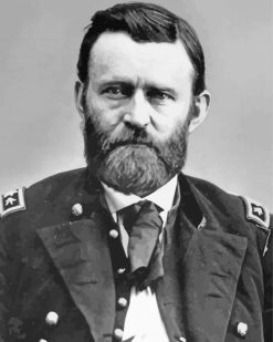 Ulysses S Grant paint by numbers