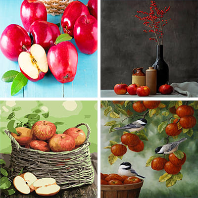 Apples painting by numbers