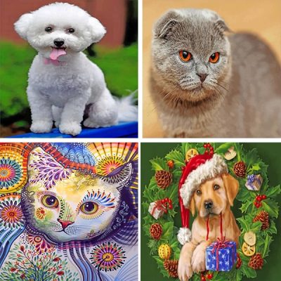 Pet painting by numbers