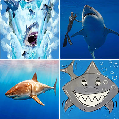 Sharks painting by numbers