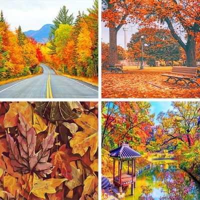 autumn painting by numbers