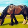 Brown Shire Horse paint by numbers