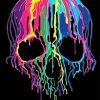 Colorful Neon Skull paint by numbers