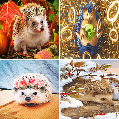 hedgehogs painting by numbers