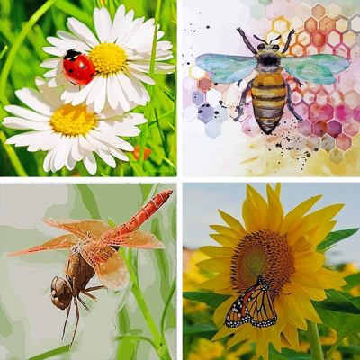 insect painting by numbers