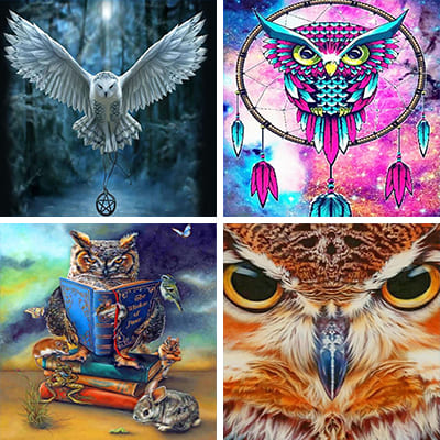 owl painting by numbers