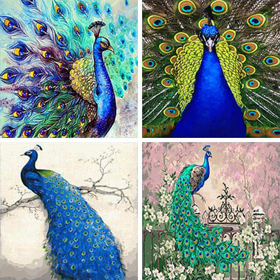 peacock painting by numbers