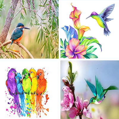 tropical birds painting by numbers