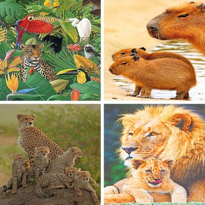 zoo painting by numbers