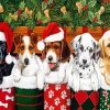 Santa Puppies paint by numbers