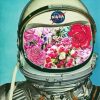 Floral Astronaut paint by numbers