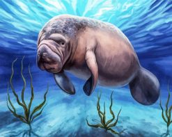 Manatees Animal paint by numbers