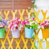 Yellow Fence And Flowers paint by numbers