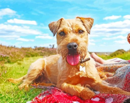 Cute Patterdale Terrier Puppy paint by numbers