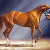 Brown Secretariat Horse paint by numbers