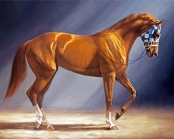 Brown Secretariat Horse paint by numbers