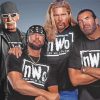 NWO Wrestling paint by numbers