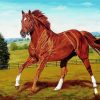 Secretariat Horse Art paint by numbers