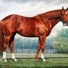 Secretariat Horse paint by numbers