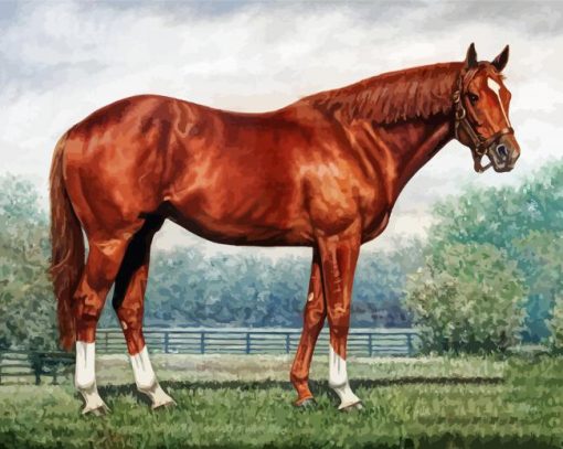 Secretariat Horse paint by numbers