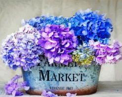 Hydrangea Flowers paint by numbers