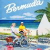 Bermuda Couple paint by numbers