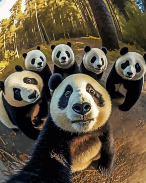 Pandas Selfie paint by numbers