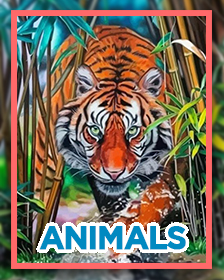 Animals