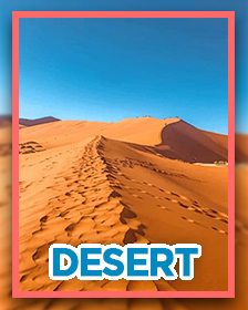 Desert