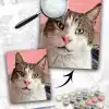 Custom Pets Paint by Numbers